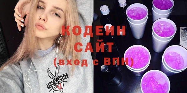 молекула духа Киреевск