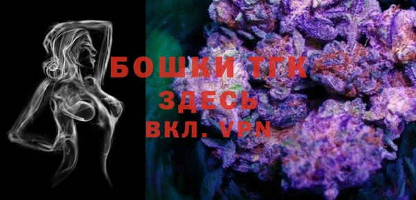 молекула духа Киреевск