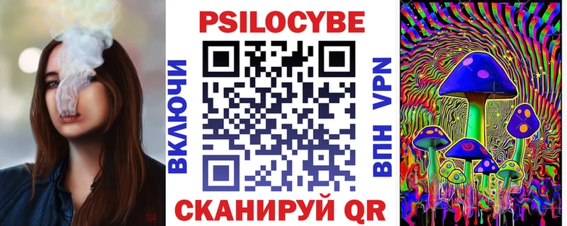 Псилоцибиновые грибы Psilocybe  Купить  Строитель 